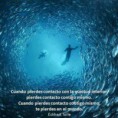 /album/frases-en-imagenes/a549070-10151339566262761-822979200-n-copia-jpg/